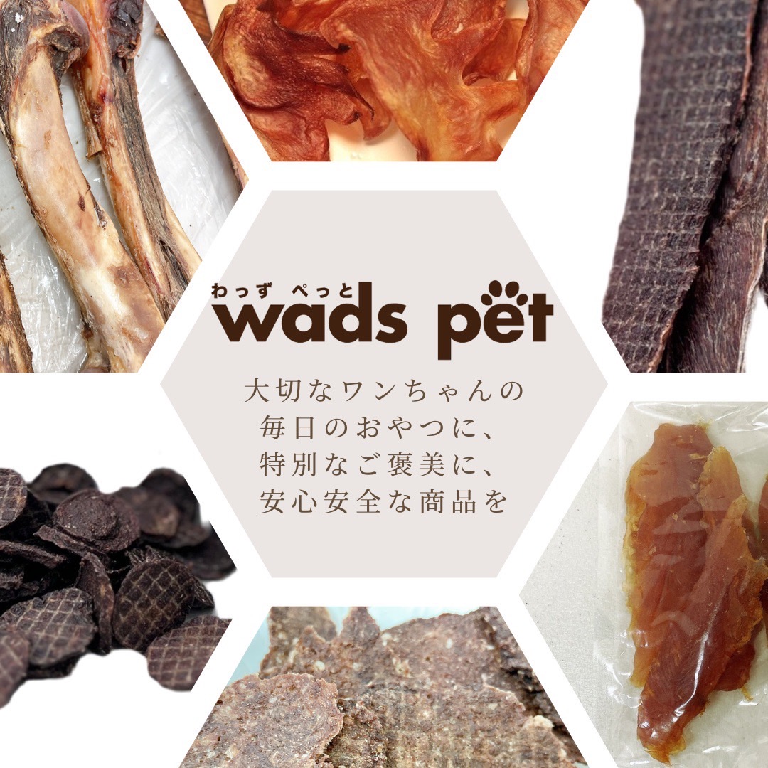 wads pet(わっずぺっと)