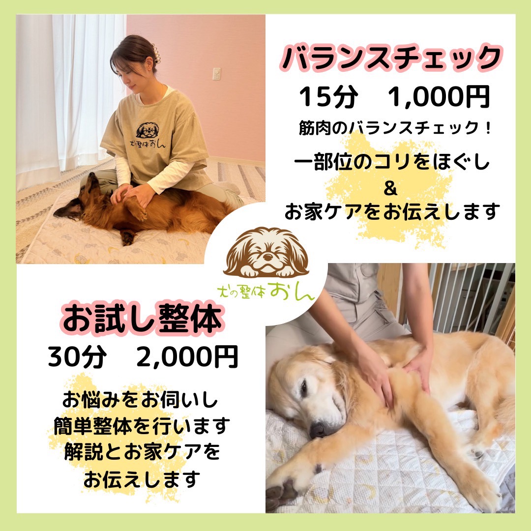 犬の整体おん