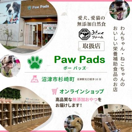 Paw Pads 沼津