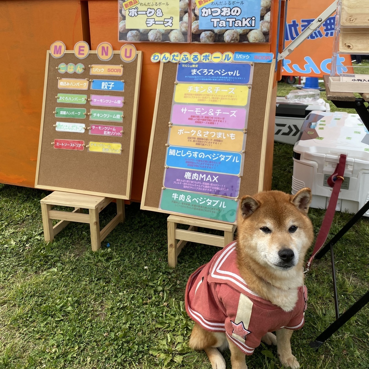 Mocoちゃんずキッチン