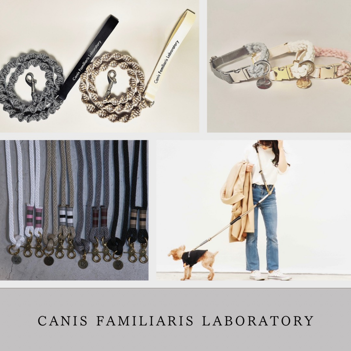 Canis Familiaris Laboratory